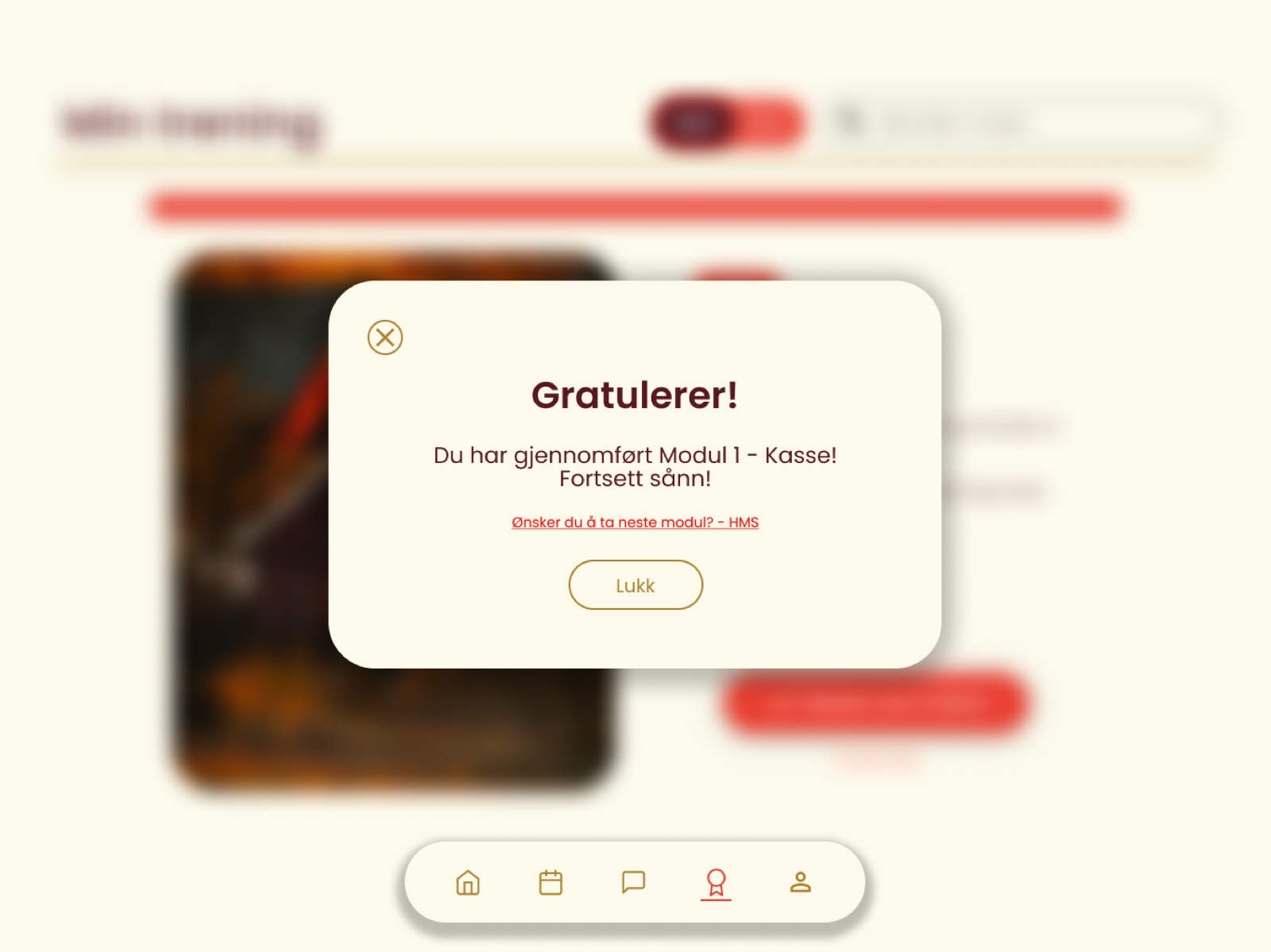 Final prototype overview